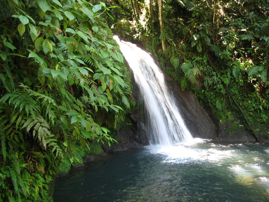Waterfalls-in-Guadeloupe
