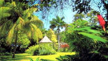 Shaw Park Garden_Ocho Rios_jamaica