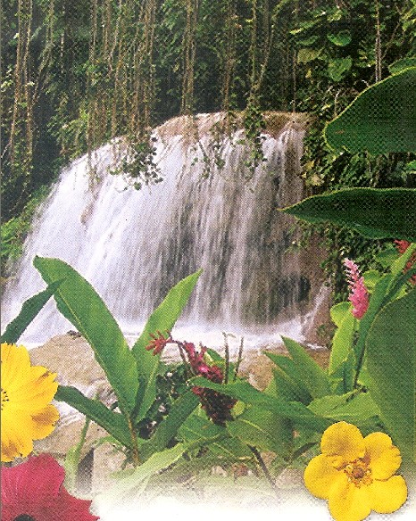 Enchanted Gardens- Ocho Rios, Experience…