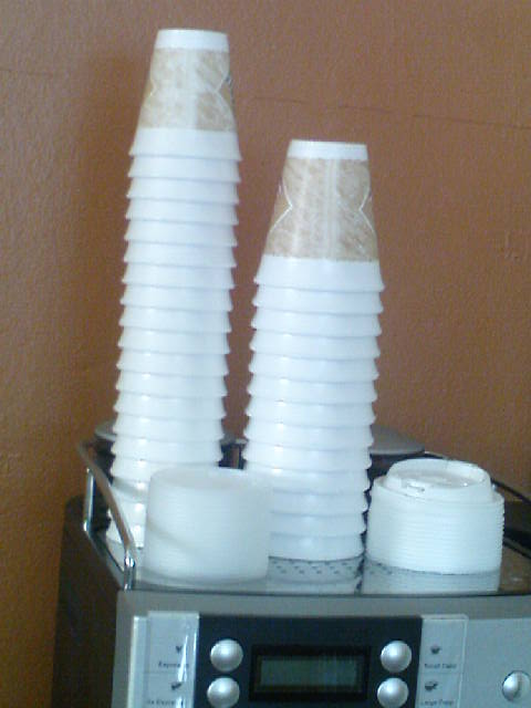 Flowers_internet _Cafe_disposable coffee cups