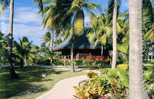 The_ palm_ island_ resort _ Palm island